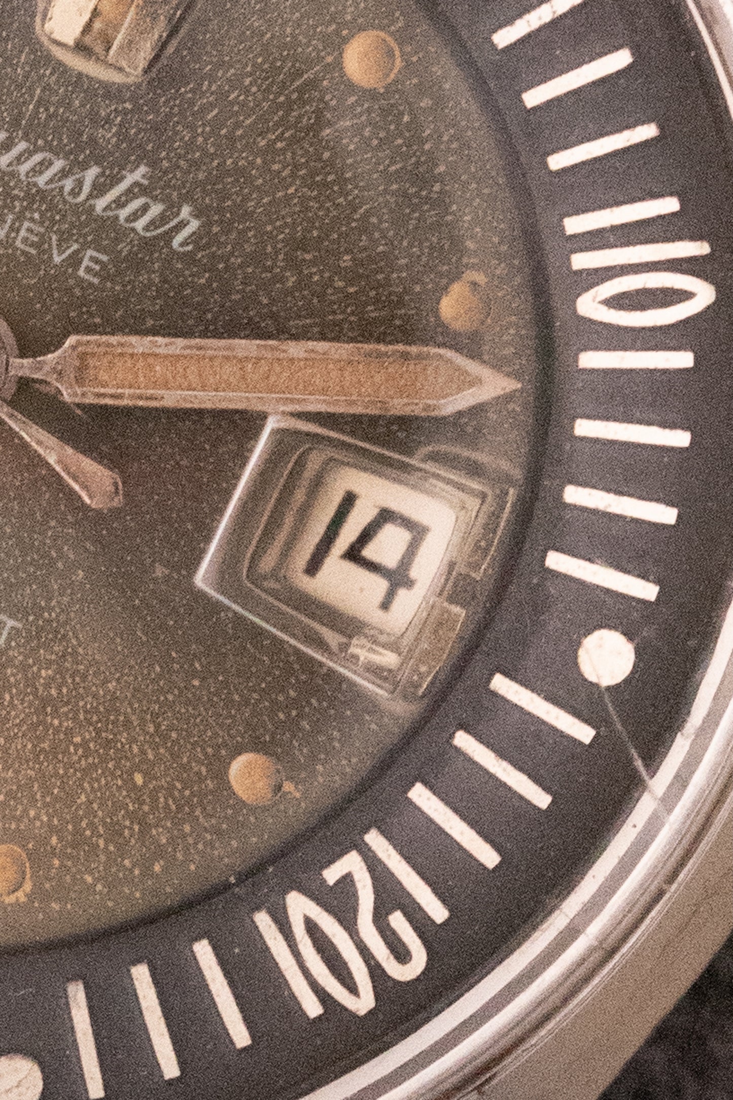 Aquastar Genève Aquastarlet