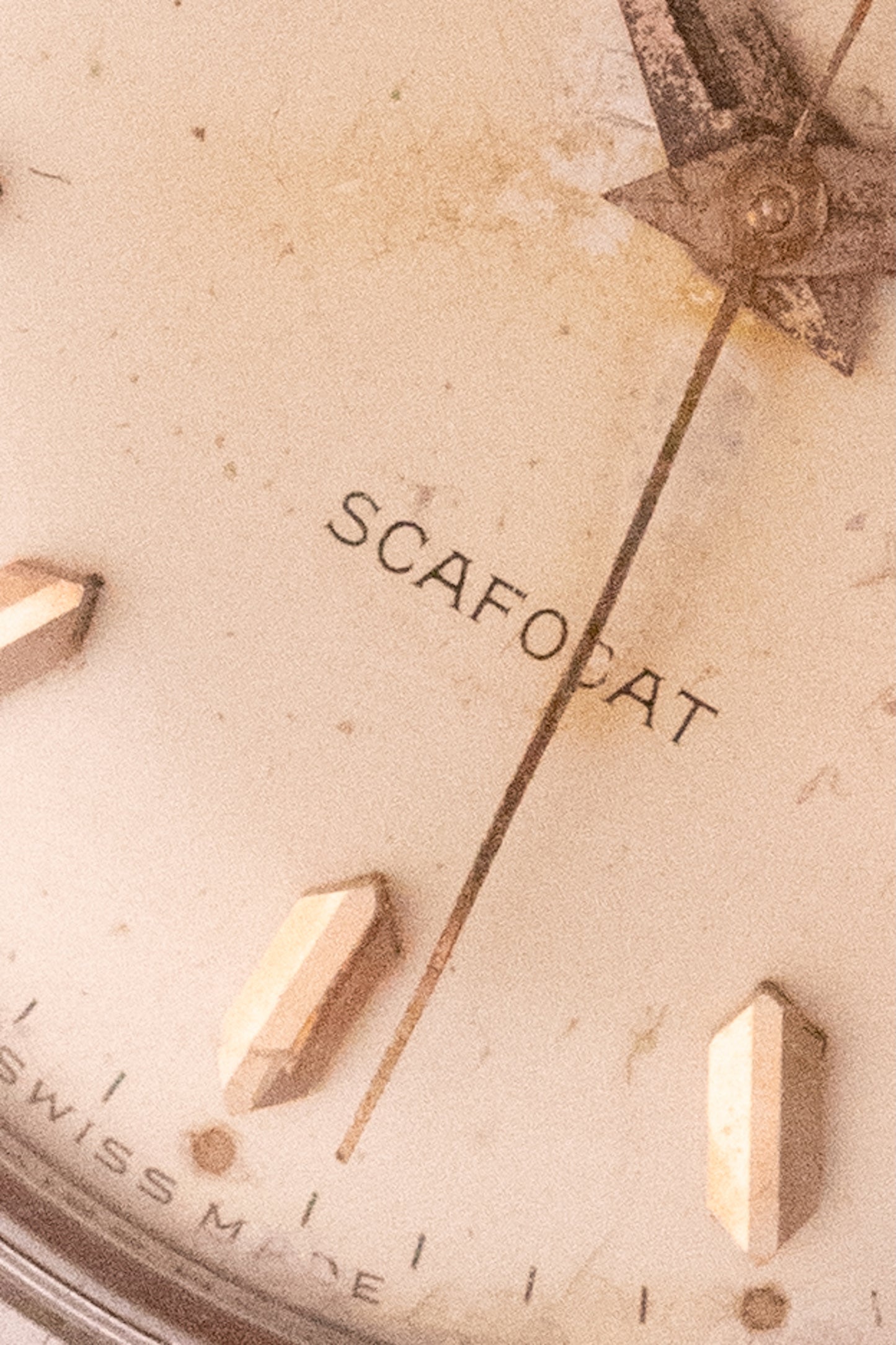 Eberhardt Scafodat 11501